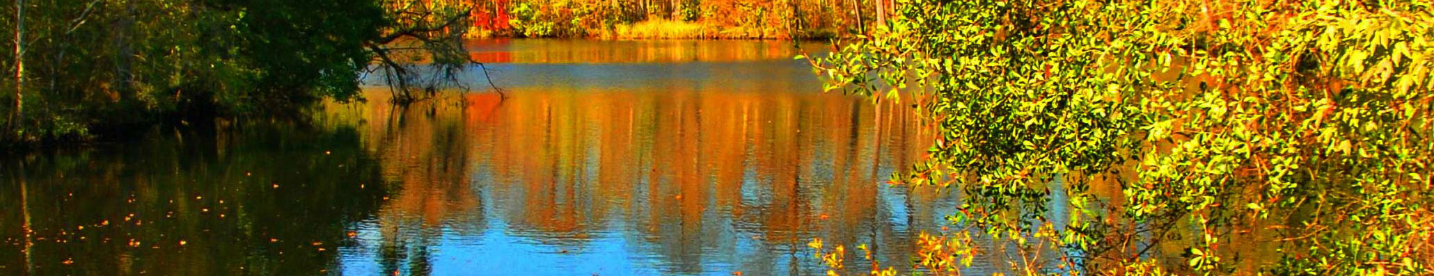 Fall foliage and nature trails at Brunswick Forest Leland NC