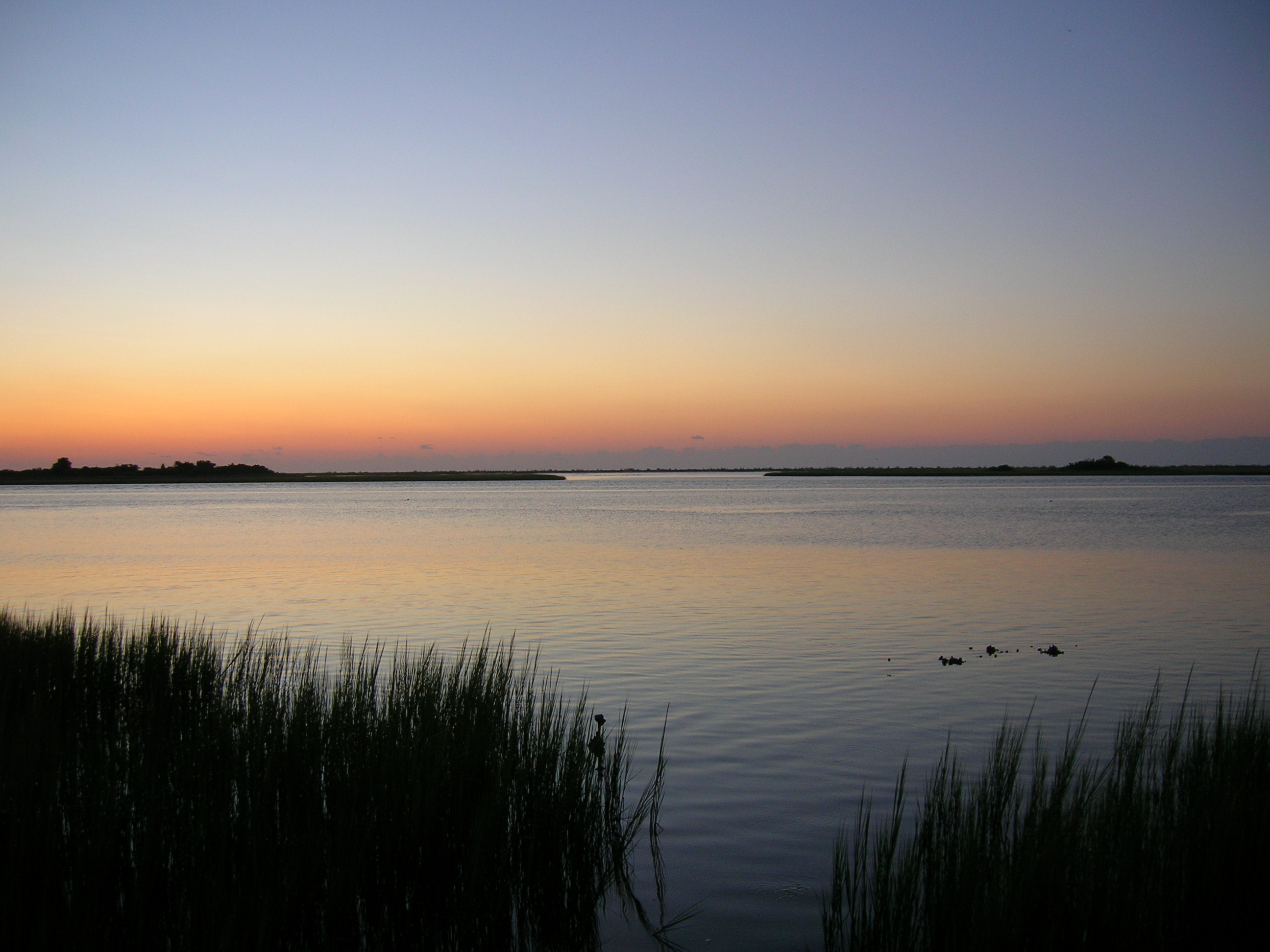 Marsh and sound near East & Mason, Wilmington NC