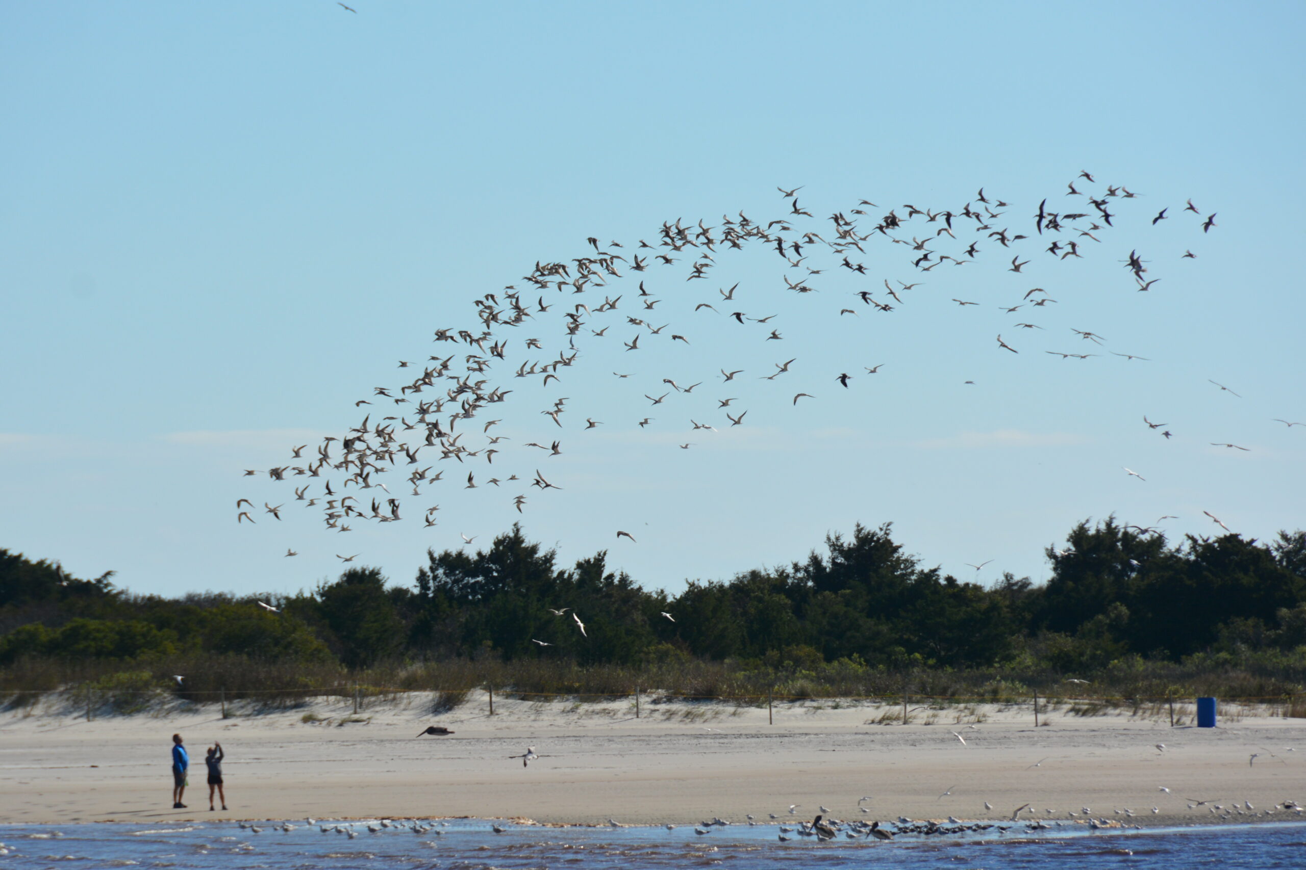 Views of Masonboro Island and coastal waterways near the East and Mason neighborhood