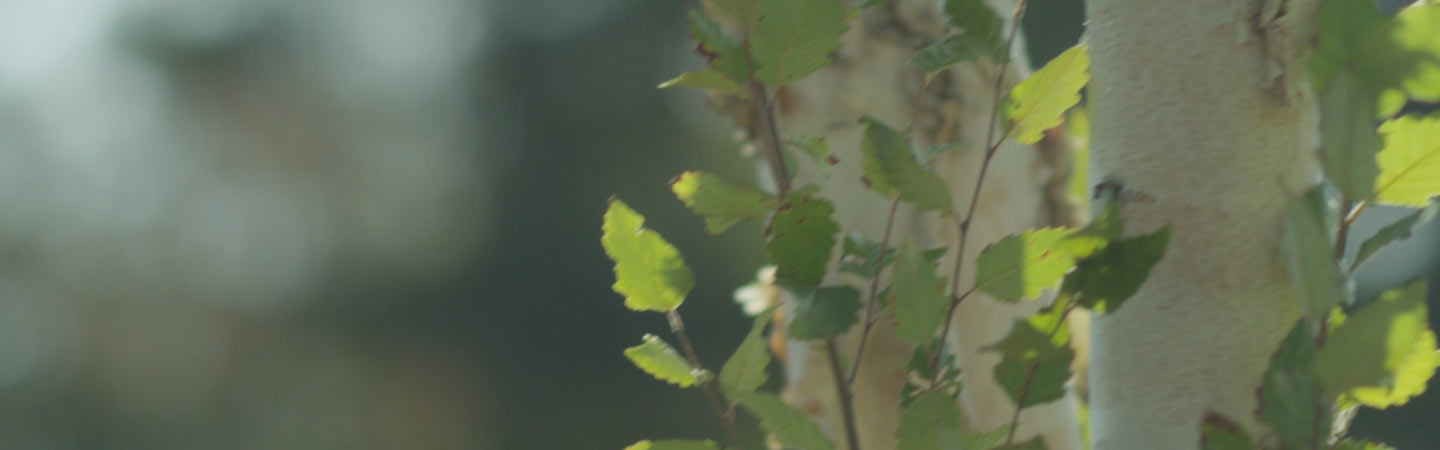 New construction home in WyndWater community Hampstead NC