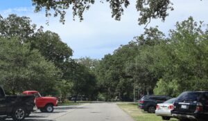 A residential street in Southport, North Carolina, shaded by mature live oaks