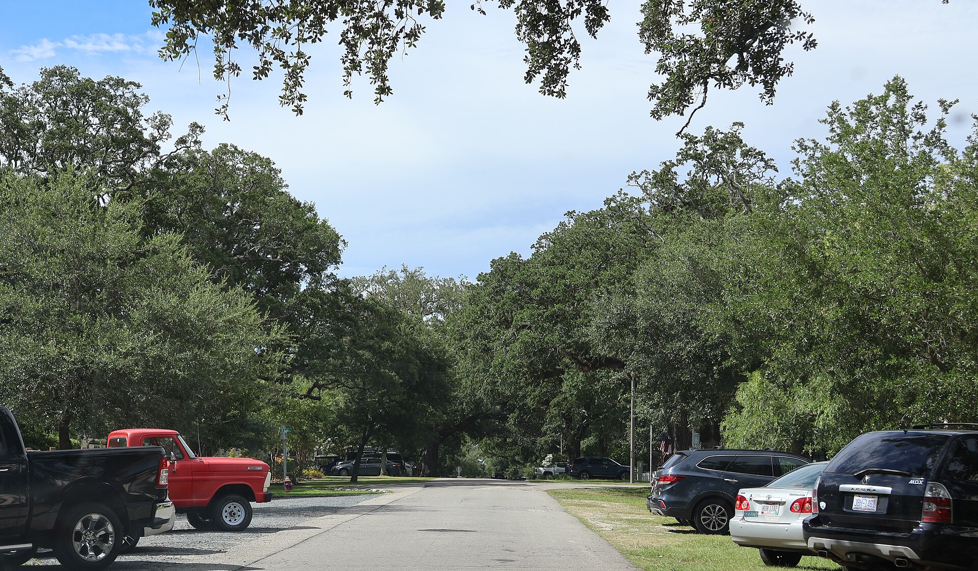 A residential street in Southport, North Carolina, shaded by mature live oaks