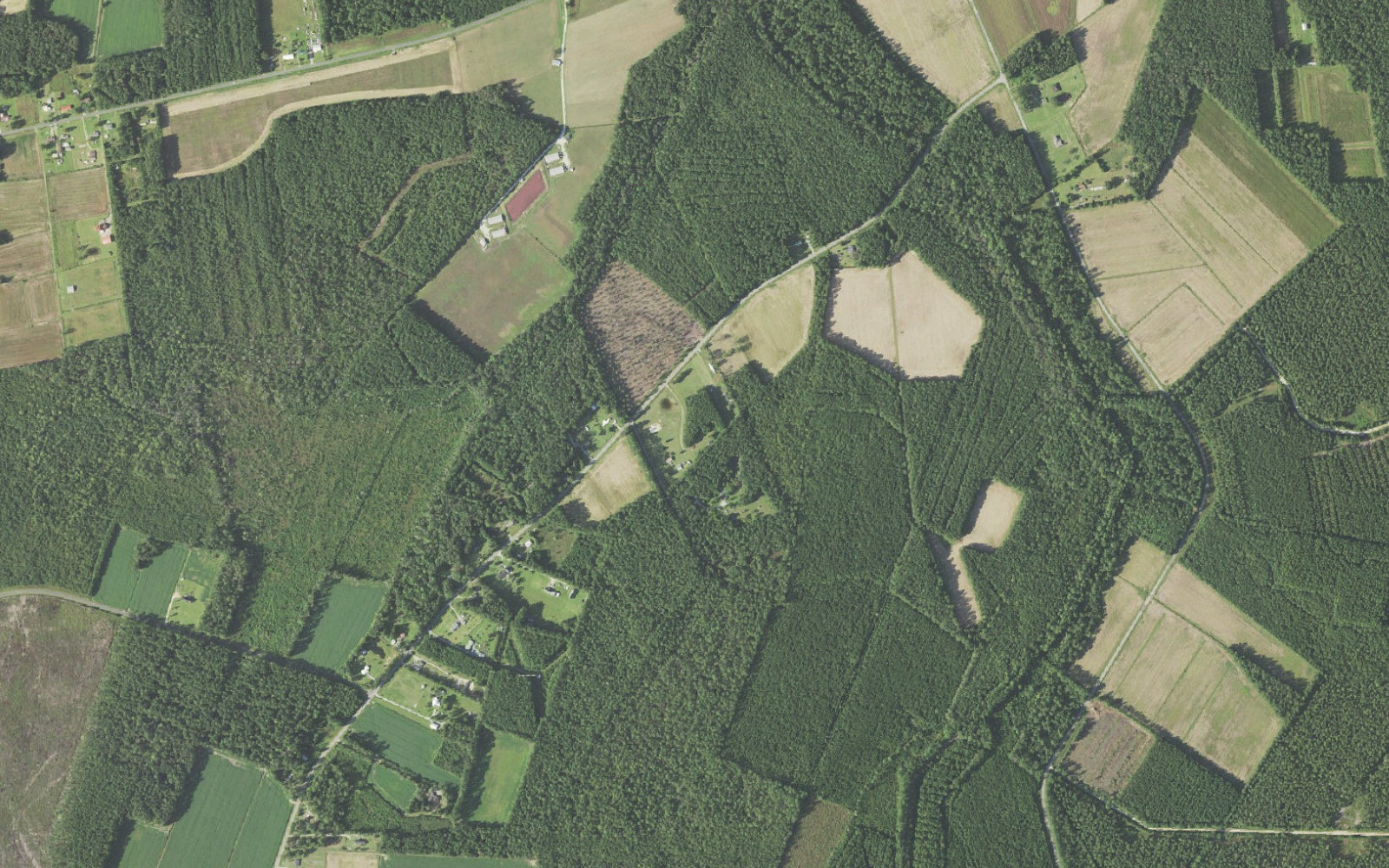Aerial view of farmland, timber blocks and scattered homesteads in the northern part of ZIP code 28420 in Ash, North Carolina, near the Green Swamp
