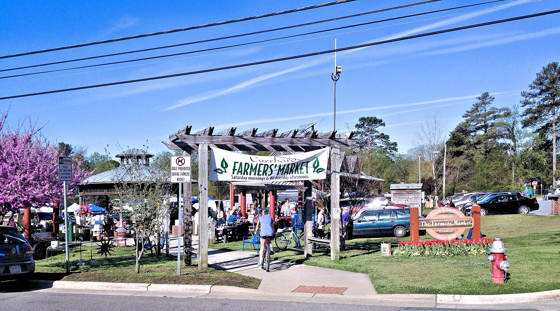 Saturday morning at the Carrboro Farmers' Market on the Town Commons