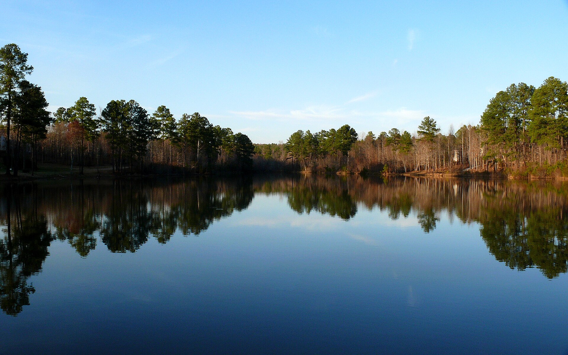 Homes and a community pond in Flowers Plantation, Clayton