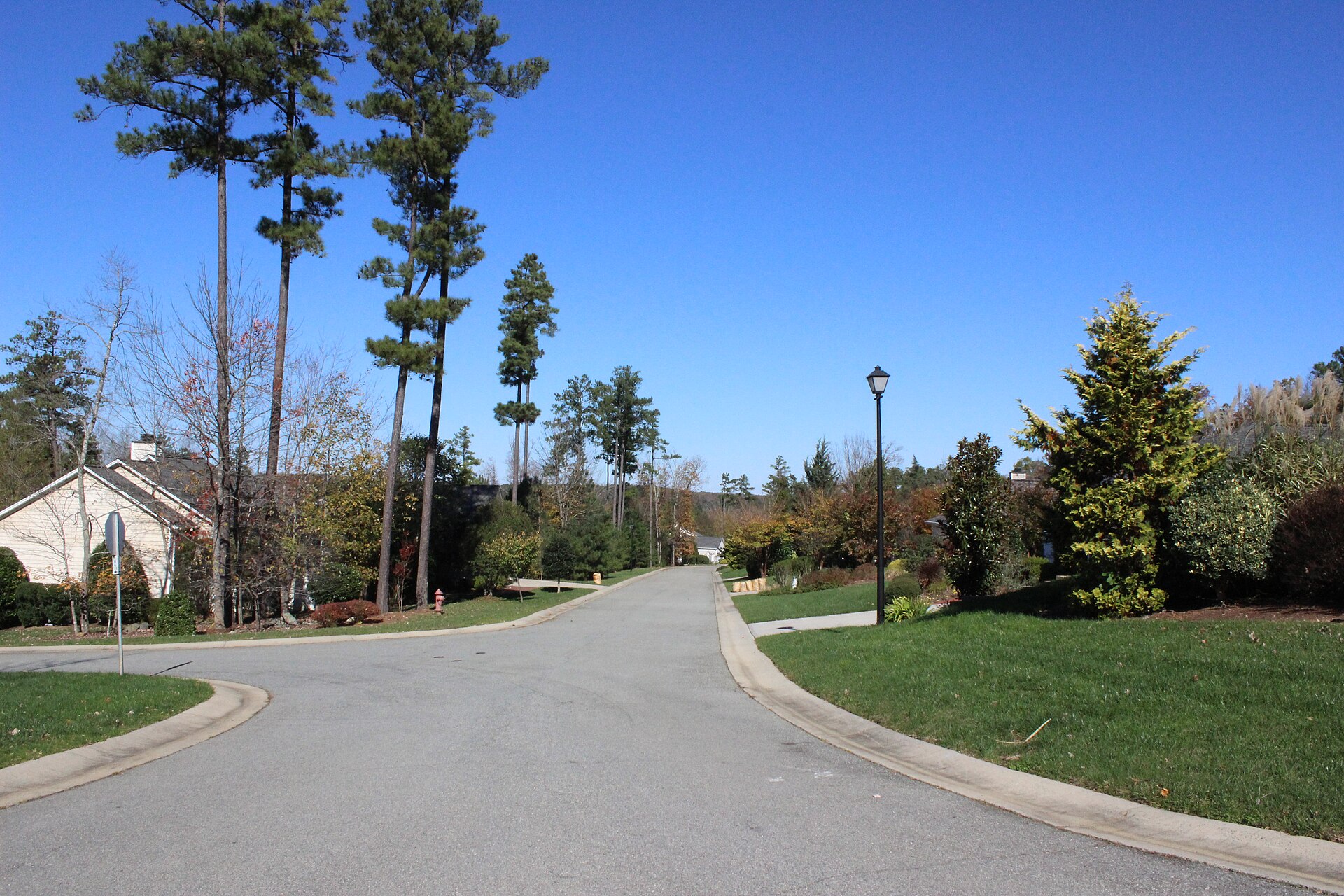 Tree-lined streets at neighboring Fearrington Village