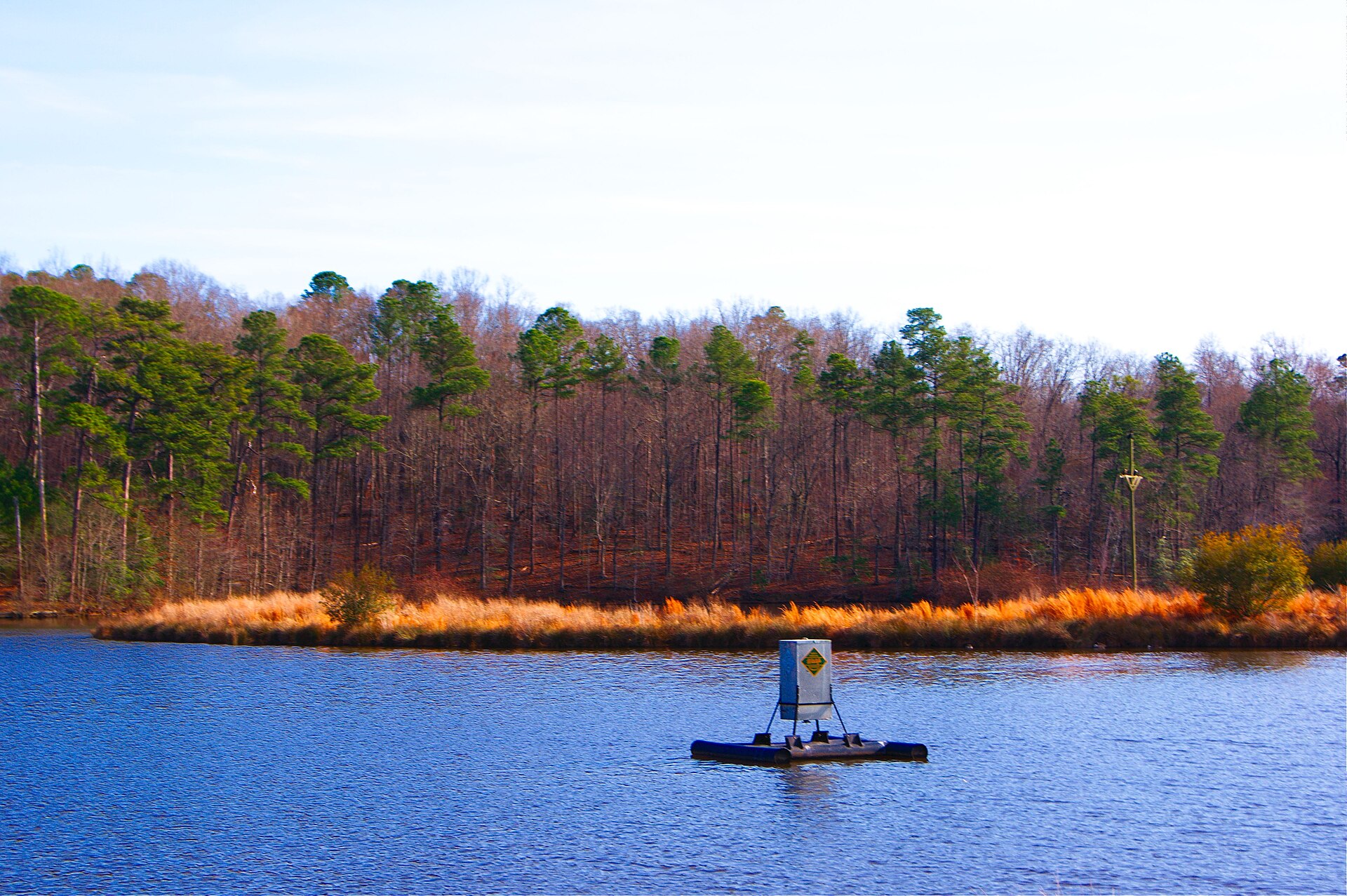Bass Lake Park shoreline and boardwalk in Holly Springs