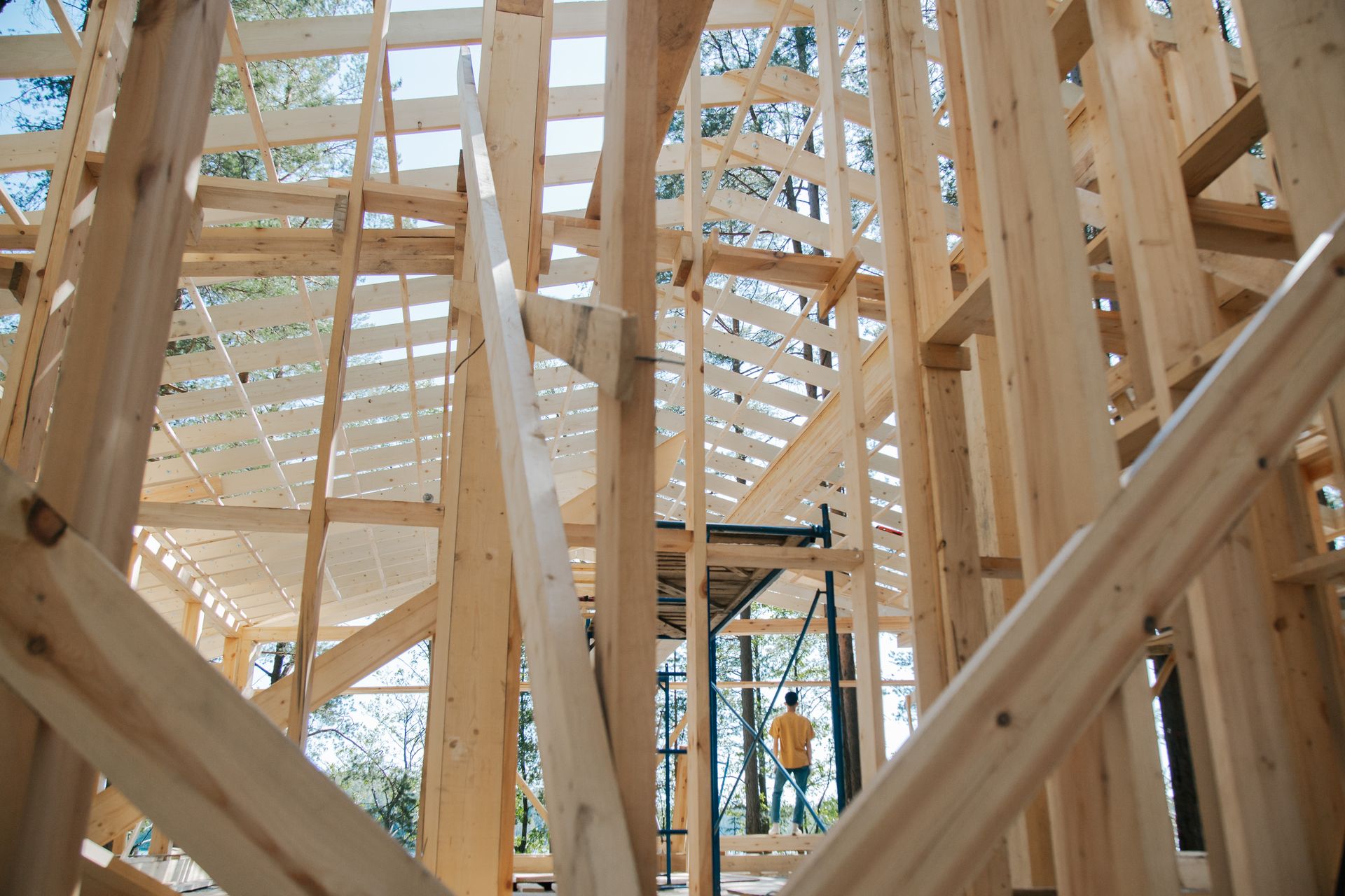 The interior wood framing of a house under construction, with roof rafters and scaffolding in place