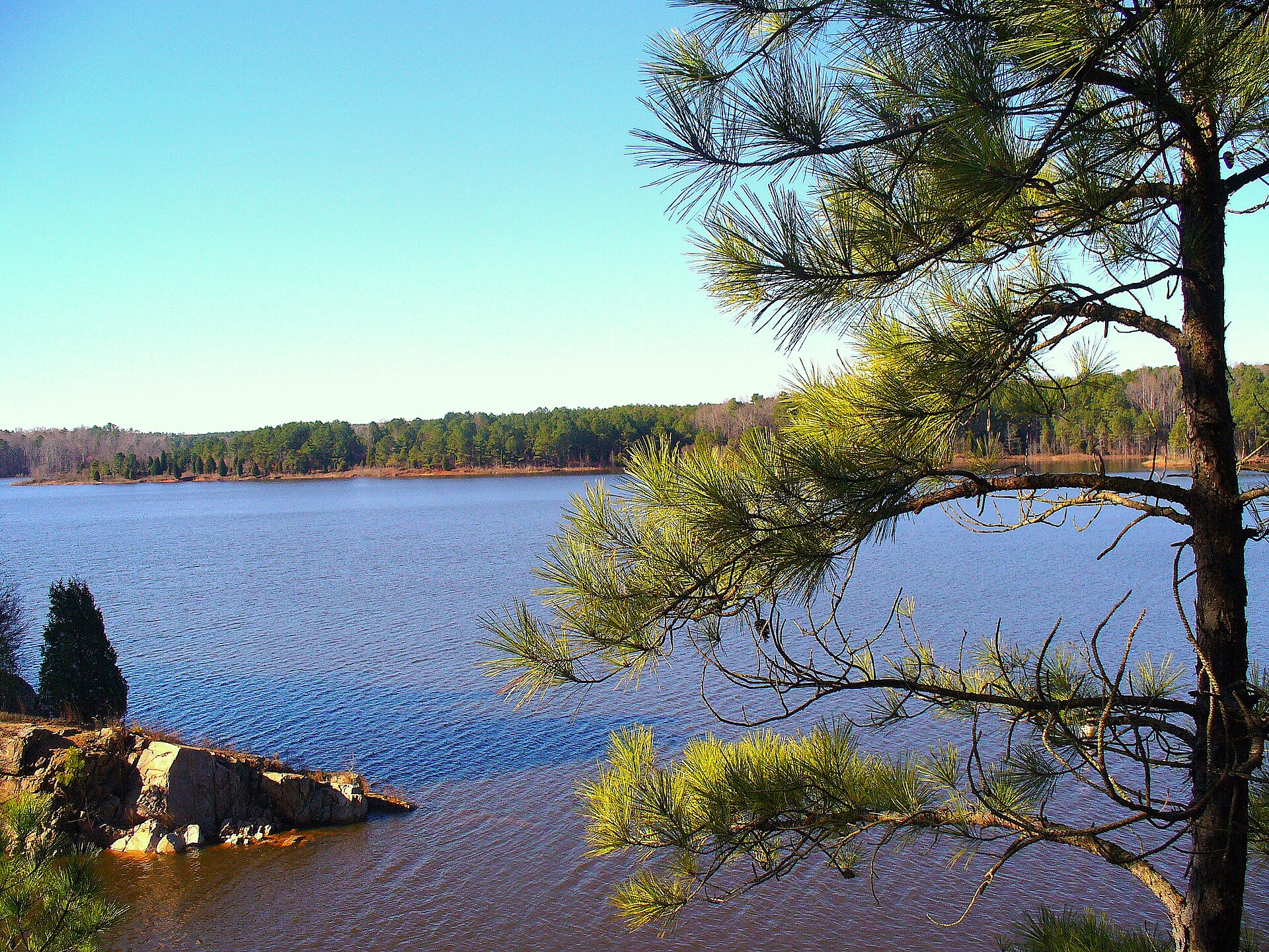 Falls Lake shoreline near Wake Forest