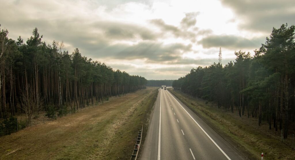 A divided multi-lane highway running through dense pine forest